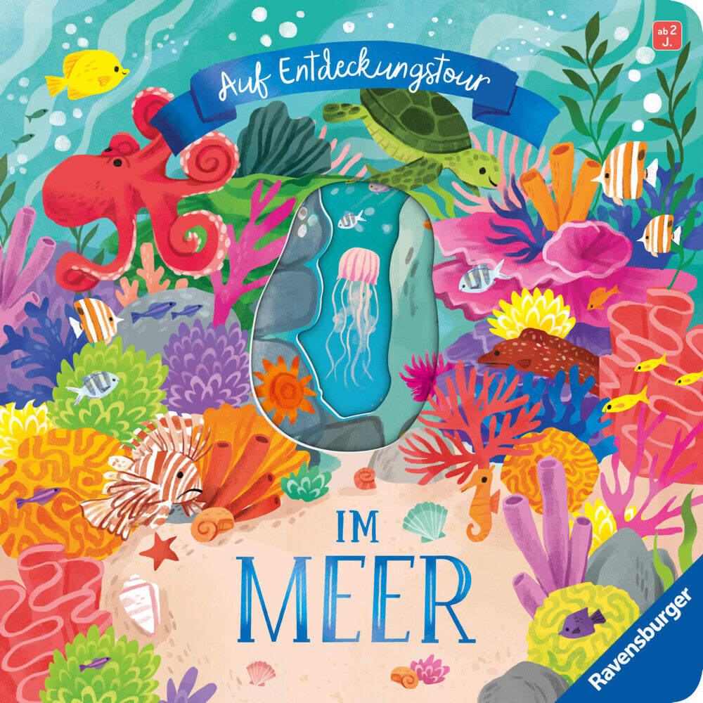 Auf Entdeckungstour: Im Meer (Laura Garnerburt)