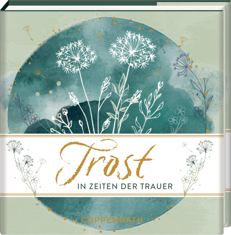 Trost