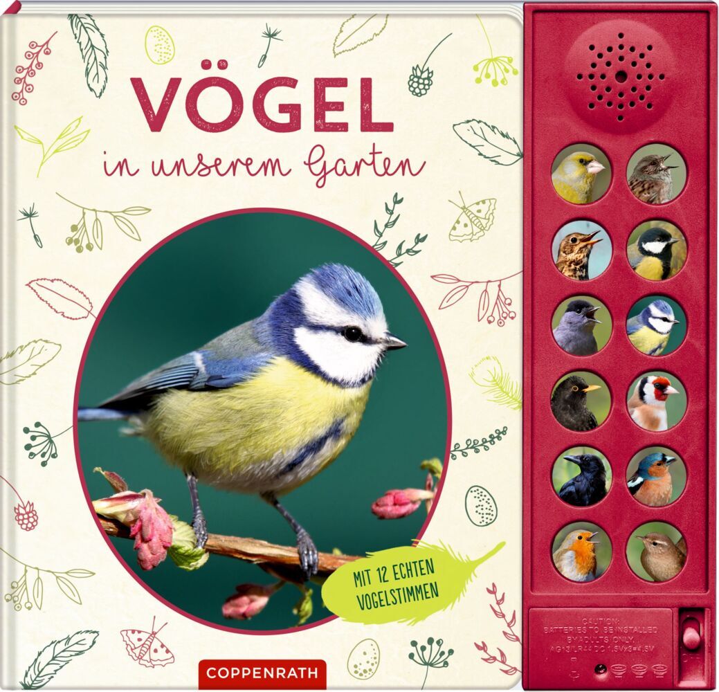 Vögel in unserem Garten (Holger Haag)