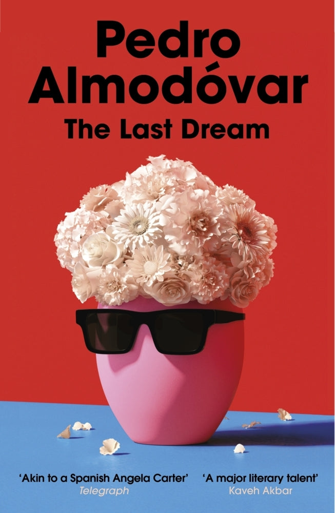The Last Dream (Pedro Almodóvar)