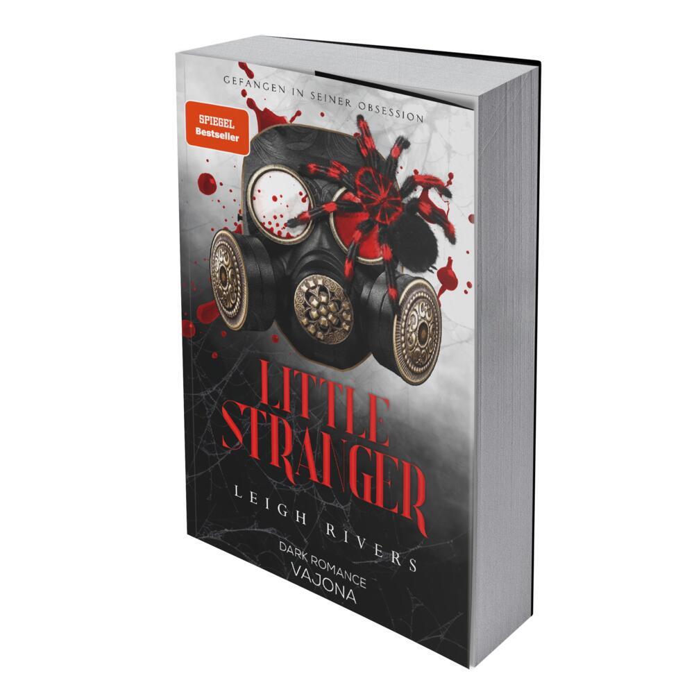 Little Stranger (Leigh Rivers)