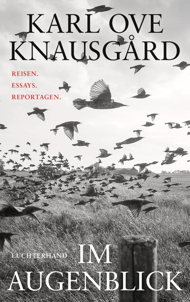 Im Augenblick (Karl Ove Knausgard)