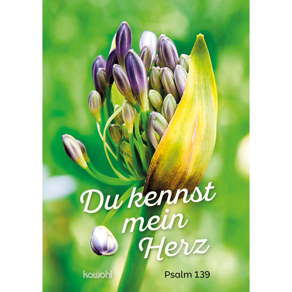 Du kennst mein Herz