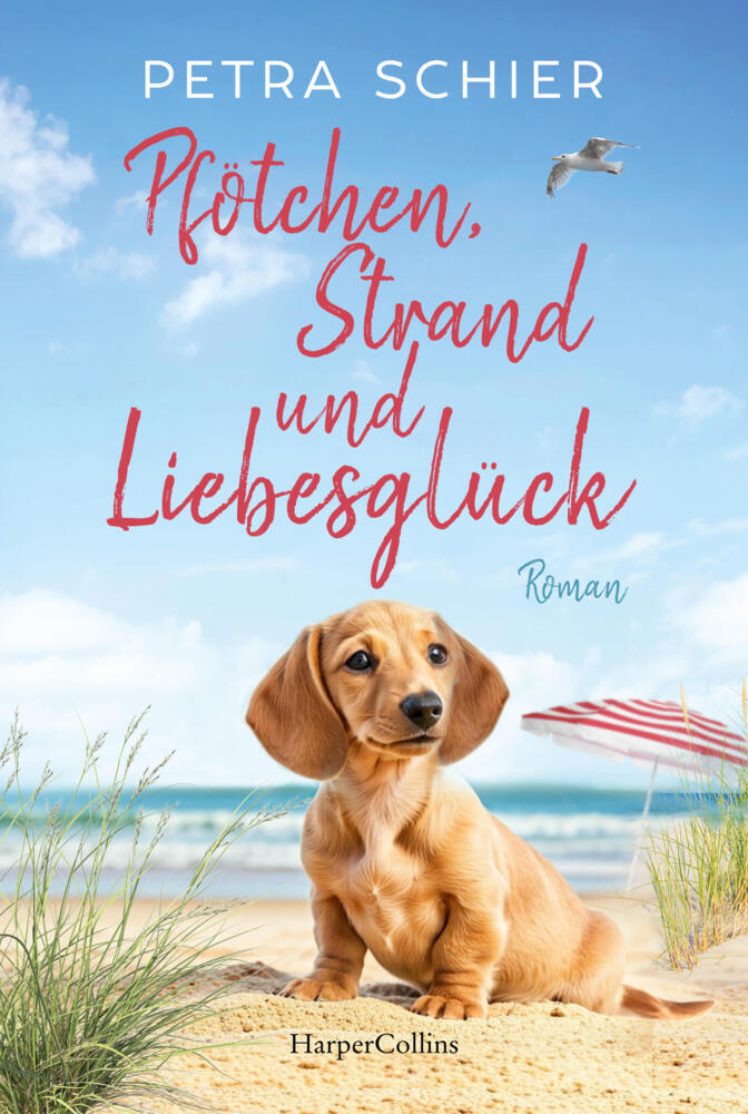 Pfötchen, Strand und Liebesglück (Petra Schier)