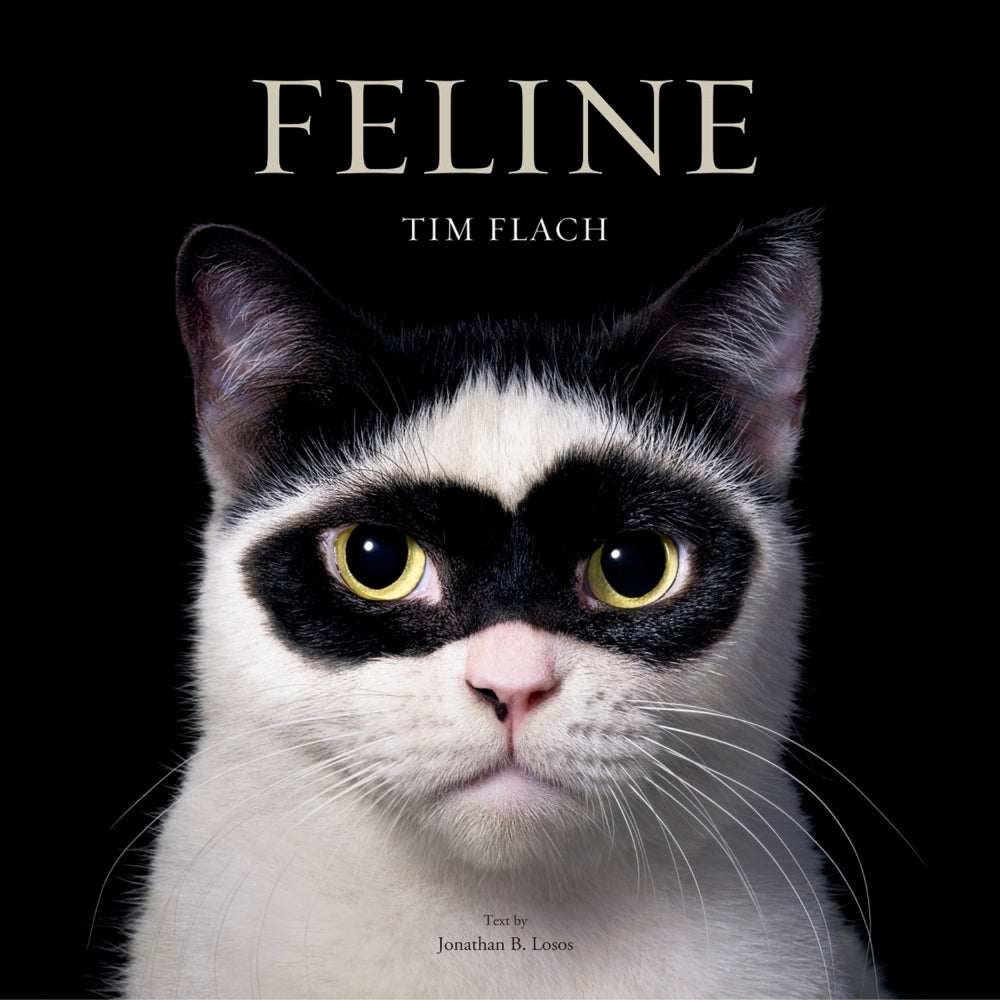 Feline (Tim Flach)