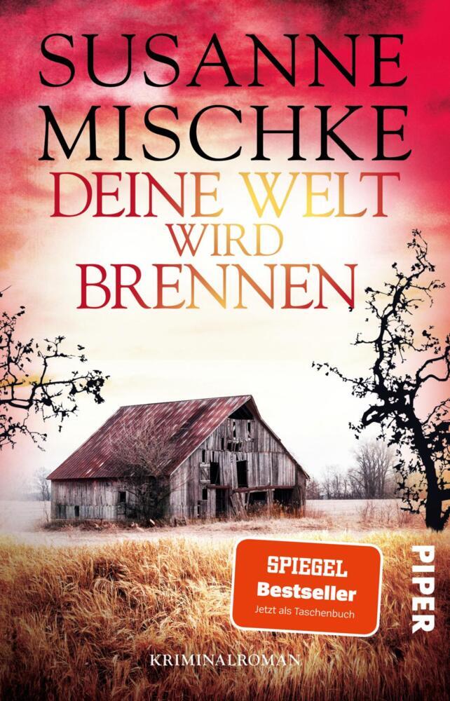 Deine Welt wird brennen (Susanne Mischke)