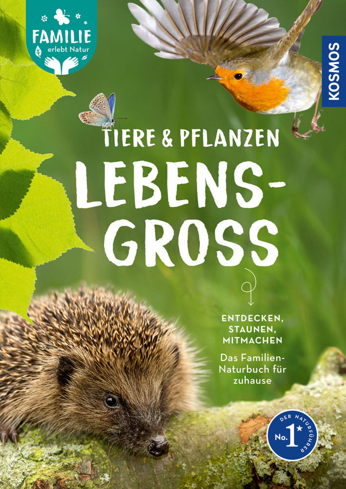 Tiere und Pflanzen lebensgroß (Daniela Strauß)