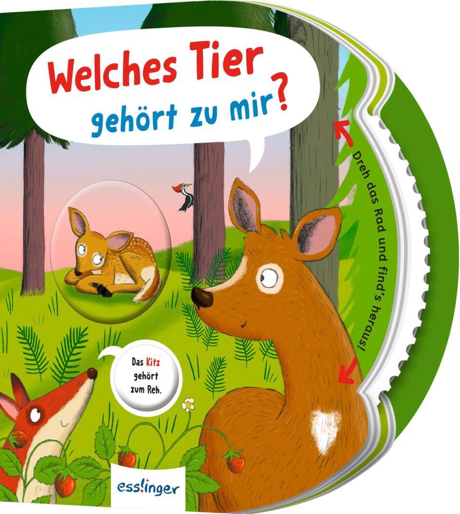 Dreh das Rad und find´s heraus!: Welches Tier gehört zu mir? (Anja Kiel)