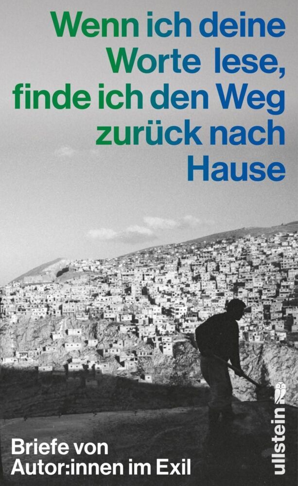Wenn ich deine Worte lese, finde ich den Weg zurück nach Hause (Annika Reich)
