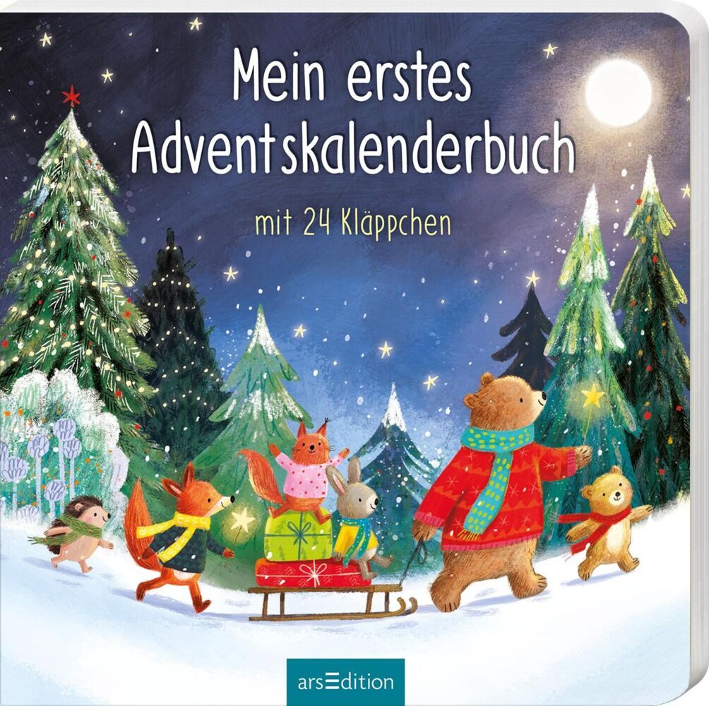 Mein erstes Adventskalenderbuch (Maria Höck)
