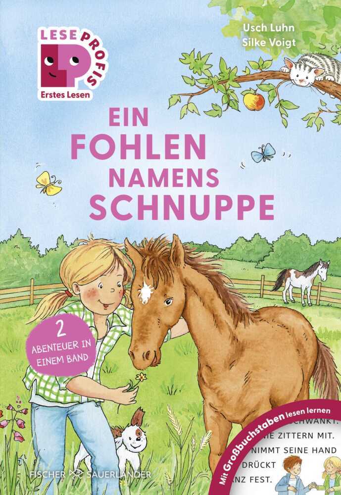 Leseprofis - GROSSBUCHSTABEN: EIN FOHLEN NAMENS SCHNUPPE, 1. Klasse (Usch Luhn)