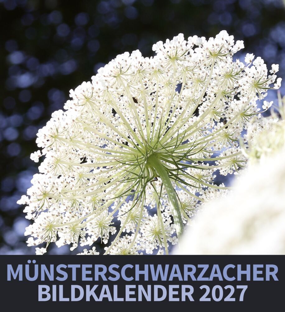Münsterschwarzacher Bildkalender 2027 (Abtei Münsterschwarzach)