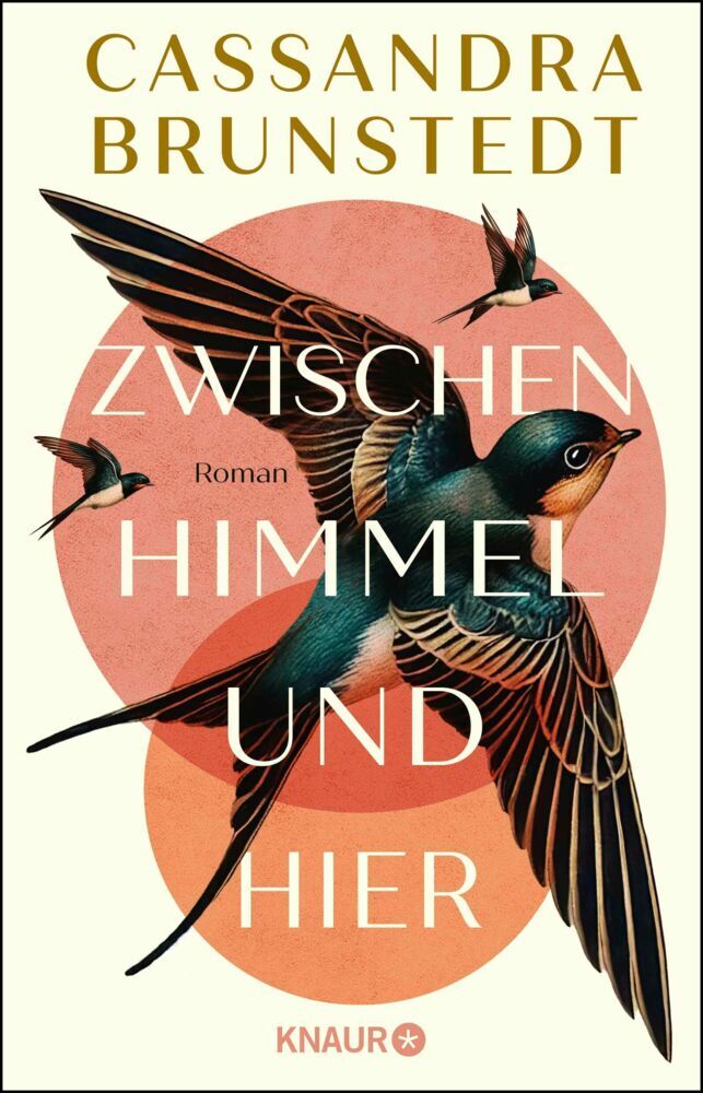 Zwischen Himmel und hier (Cassandra Brunstedt)