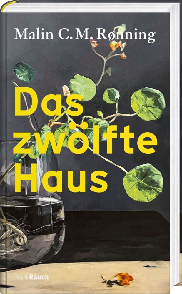 Das zwölfte Haus (Malin C. M. Rønning)