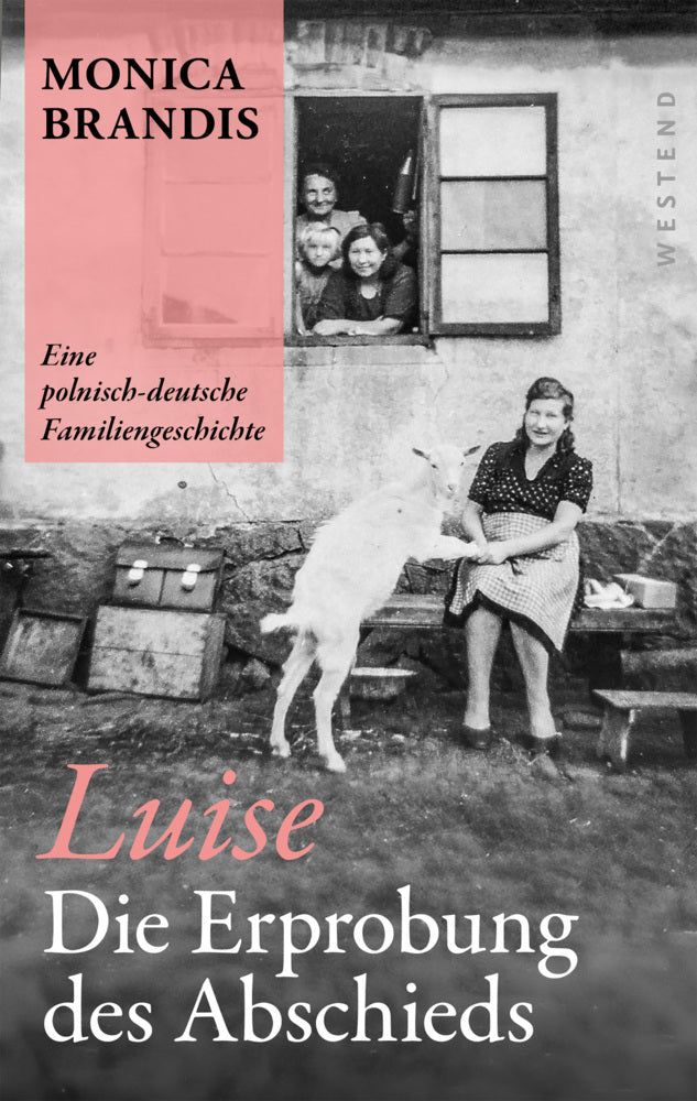 Luise. Die Erprobung des Abschieds (Monica Brandis)