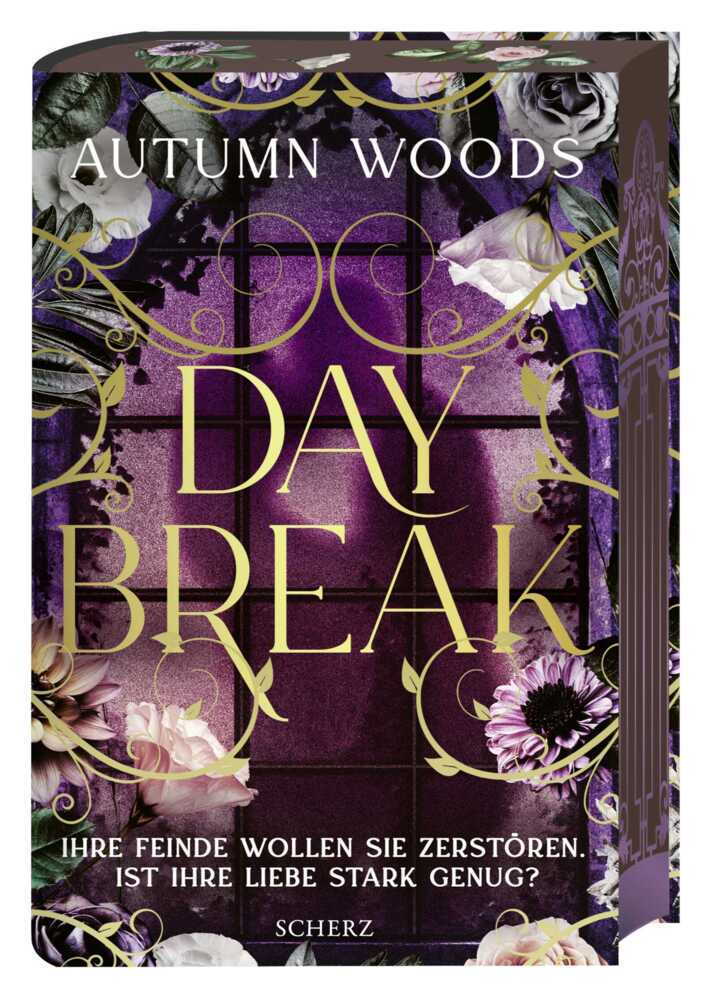 Daybreak (Autumn Woods)