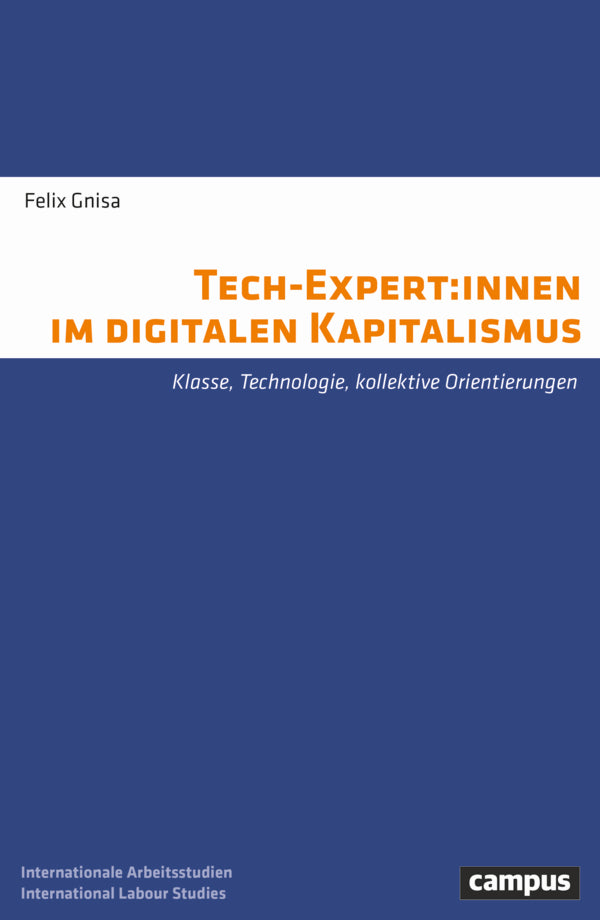 Tech-Expert:innen im digitalen Kapitalismus (Felix Gnisa)