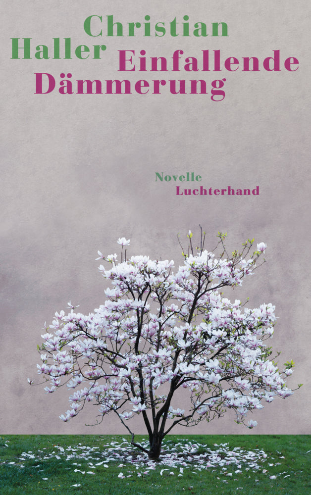 Einfallende Dämmerung (Christian Haller)