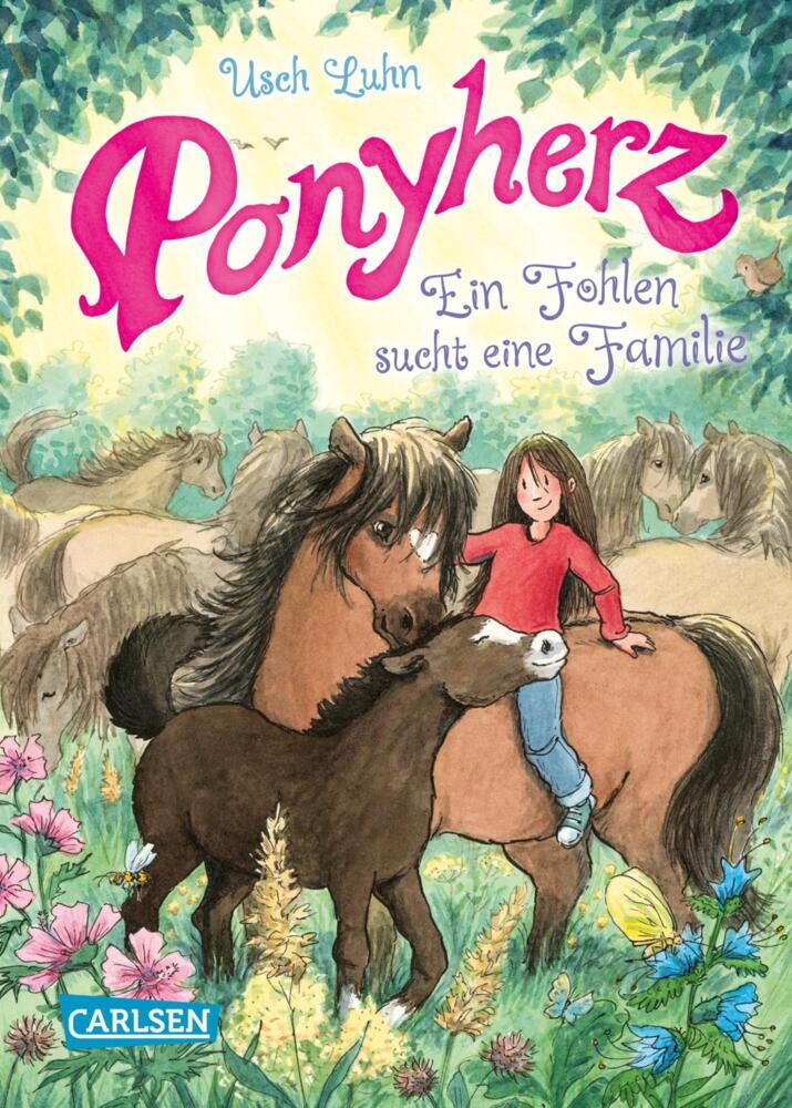 Ponyherz 24: Ein Fohlen sucht eine Familie (Usch Luhn)