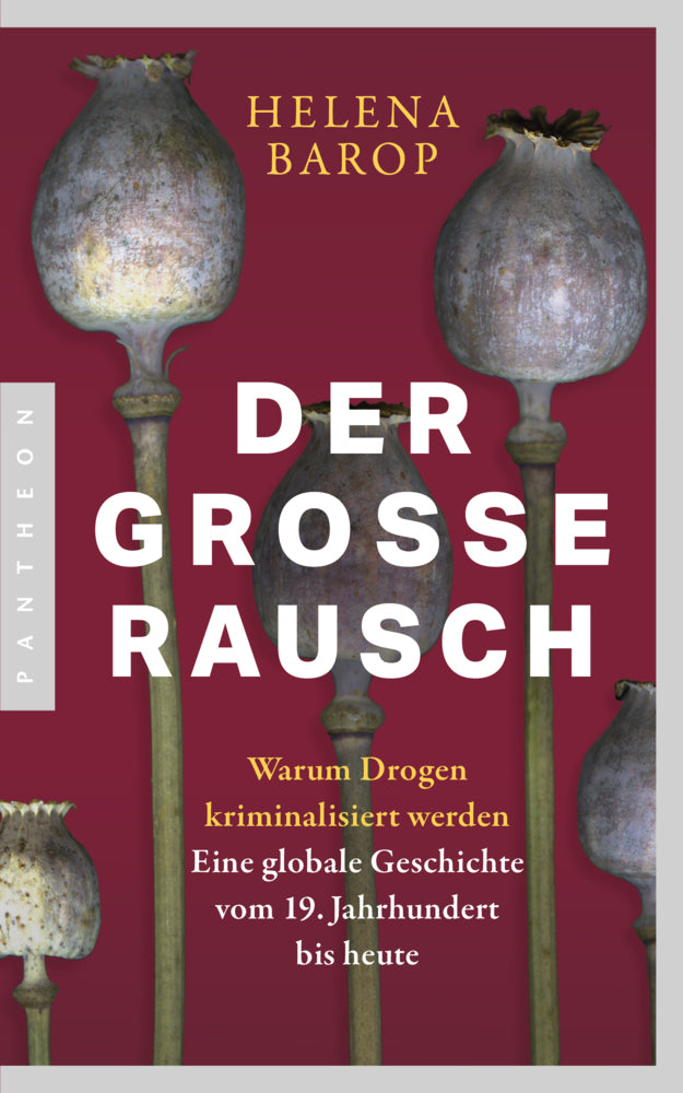 Der große Rausch (Helena Barop)