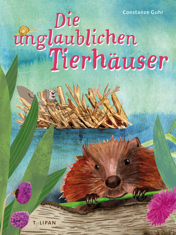 Die unglaublichen Tierhäuser (Constanze Guhr)