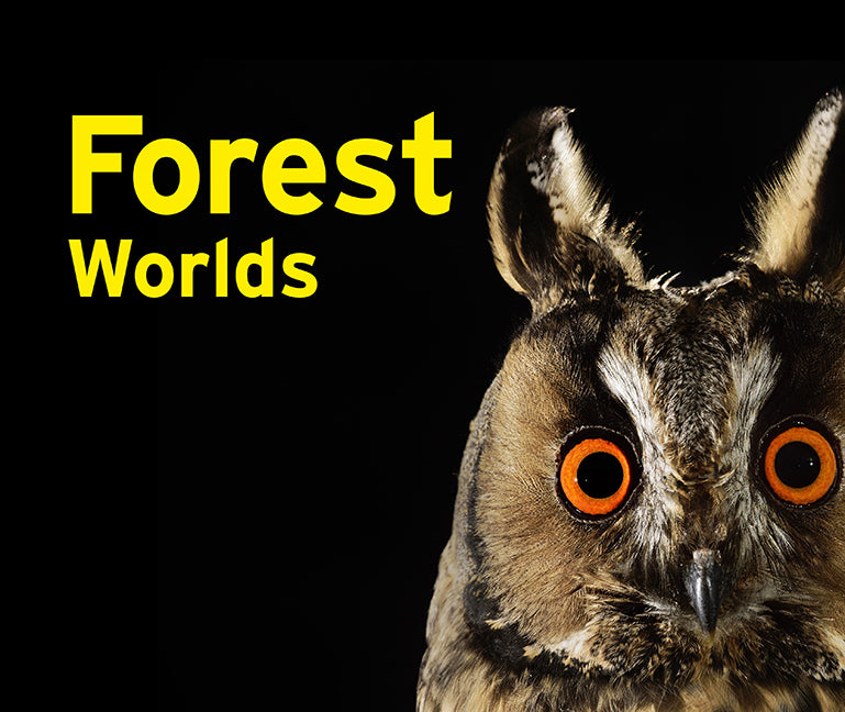 Forest Worlds (Jeanette Schmitz)