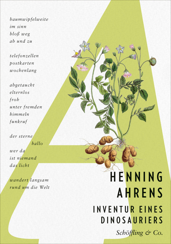 Inventur eines Dinosauriers (Henning Ahrens)