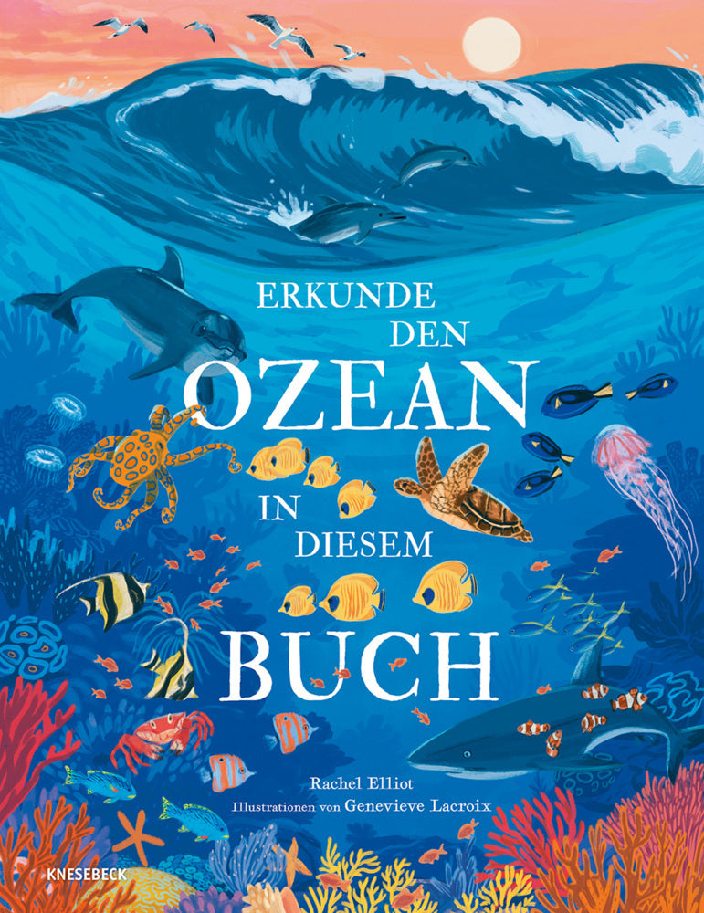 Erkunde den Ozean in diesem Buch (Rachel Elliot)