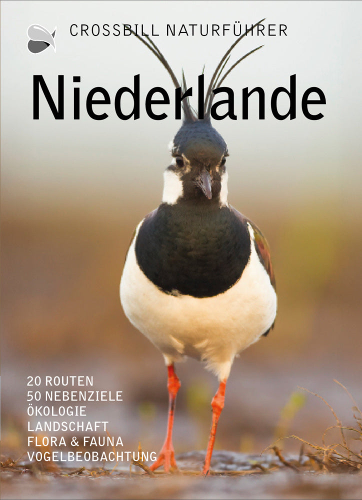 Niederlande (Dirk Hilbers)