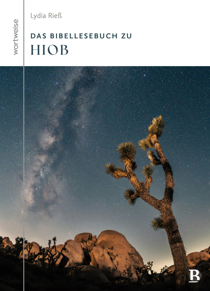 Das Bibellesebuch zu Hiob (Lydia Riess)