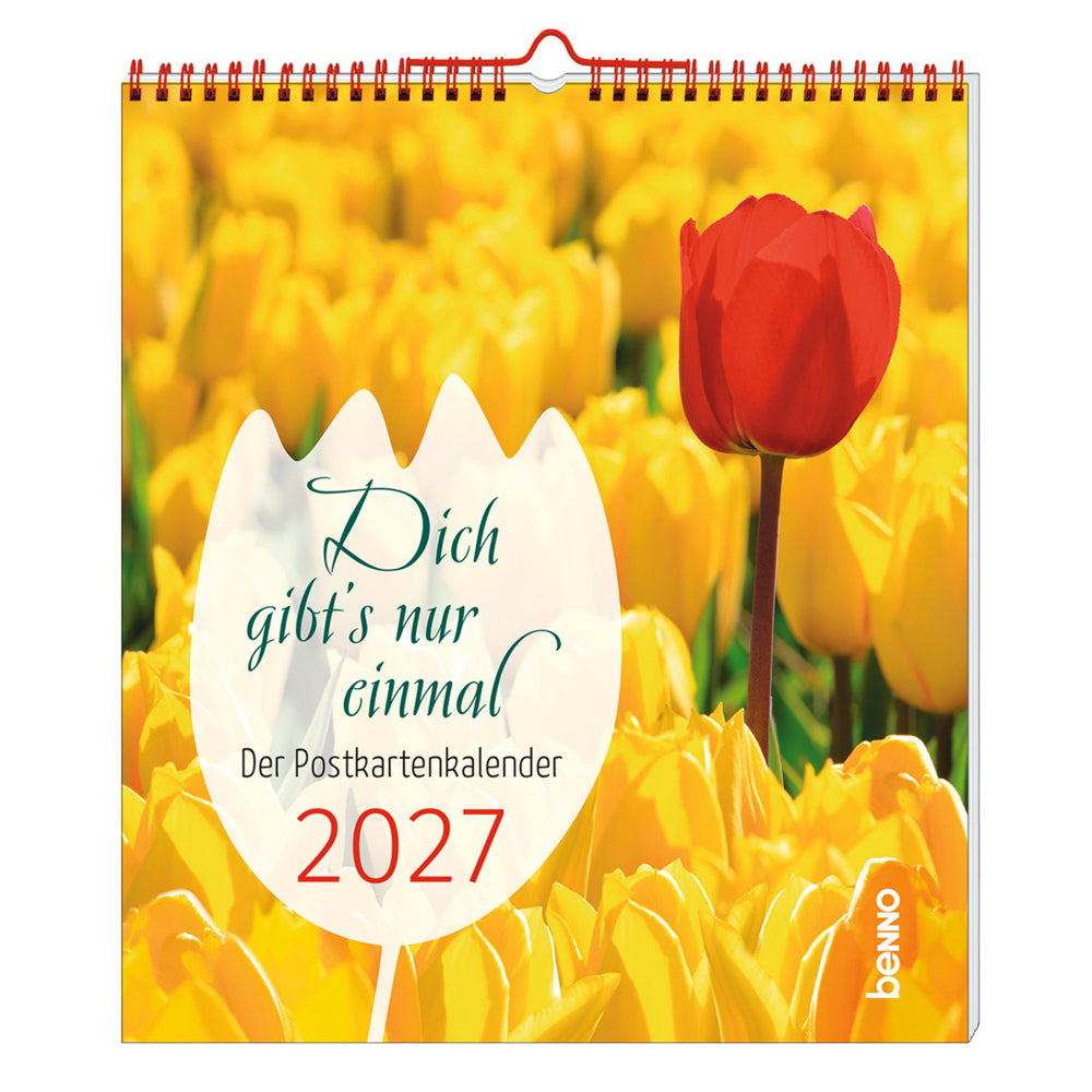 Dich gibt's nur einmal 2027
