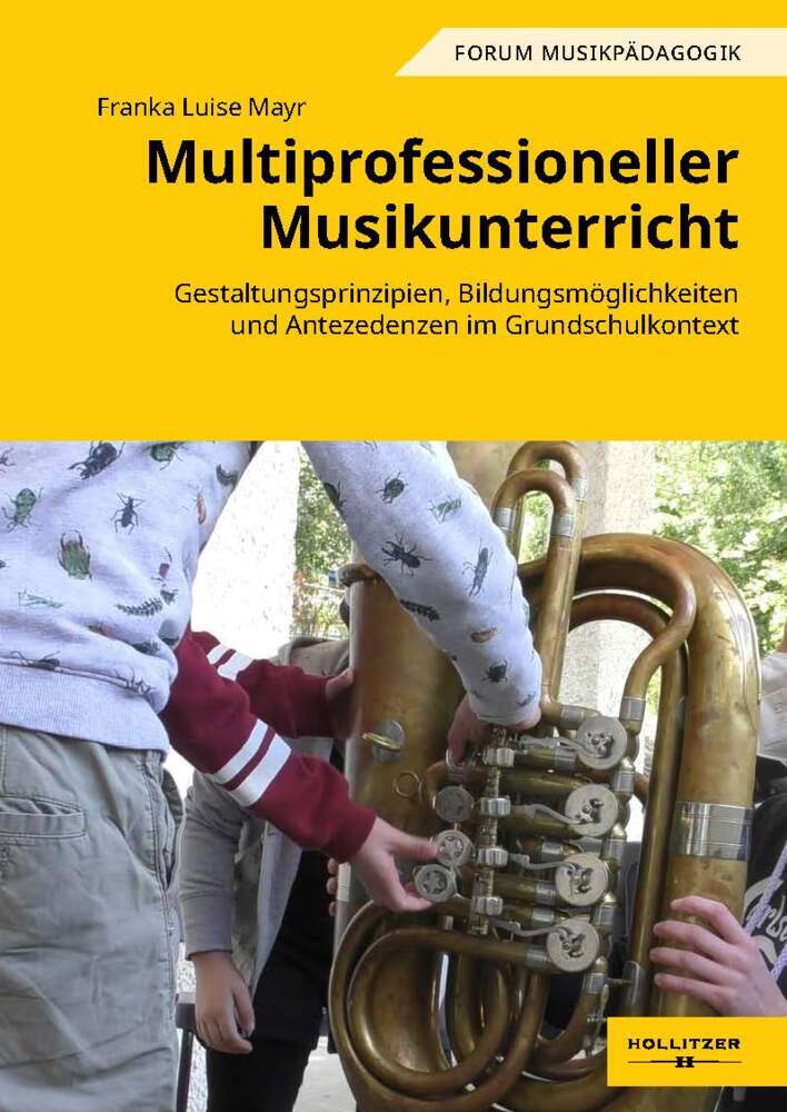 Multiprofessioneller Musikunterricht (Franka Luise Mayr)