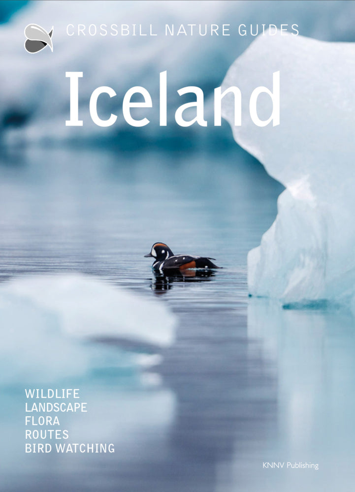 Iceland (Dirk Hilbers)