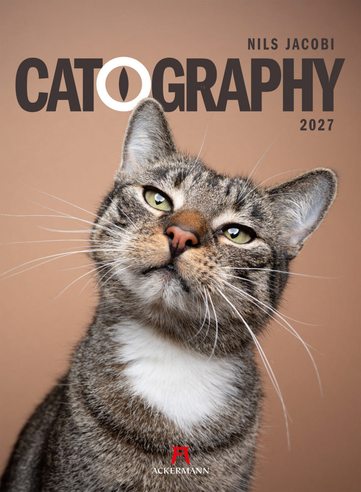 Catography Katzen-Kalender 2027 (Nils Jacobi)