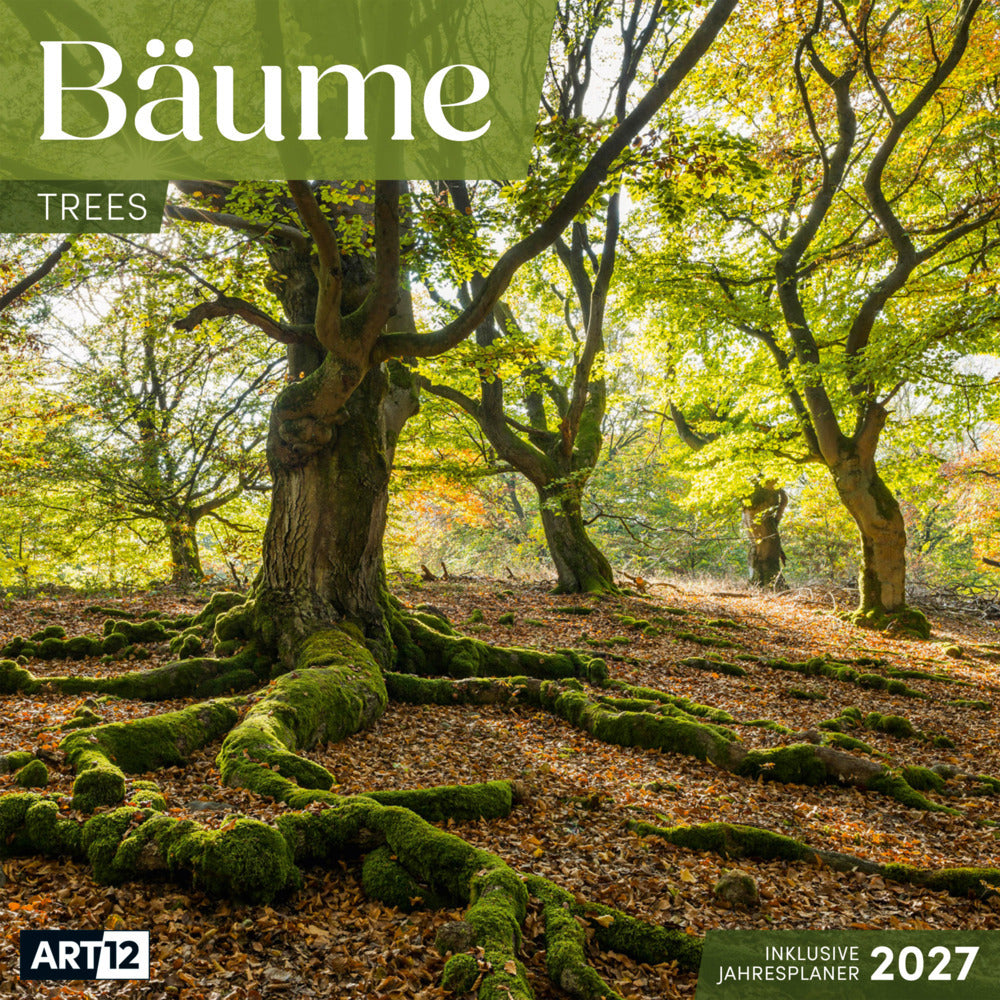 Bäume Kalender 2027 - 30x30 - Art12 (Ackermann Kunstverlag Gmbh)
