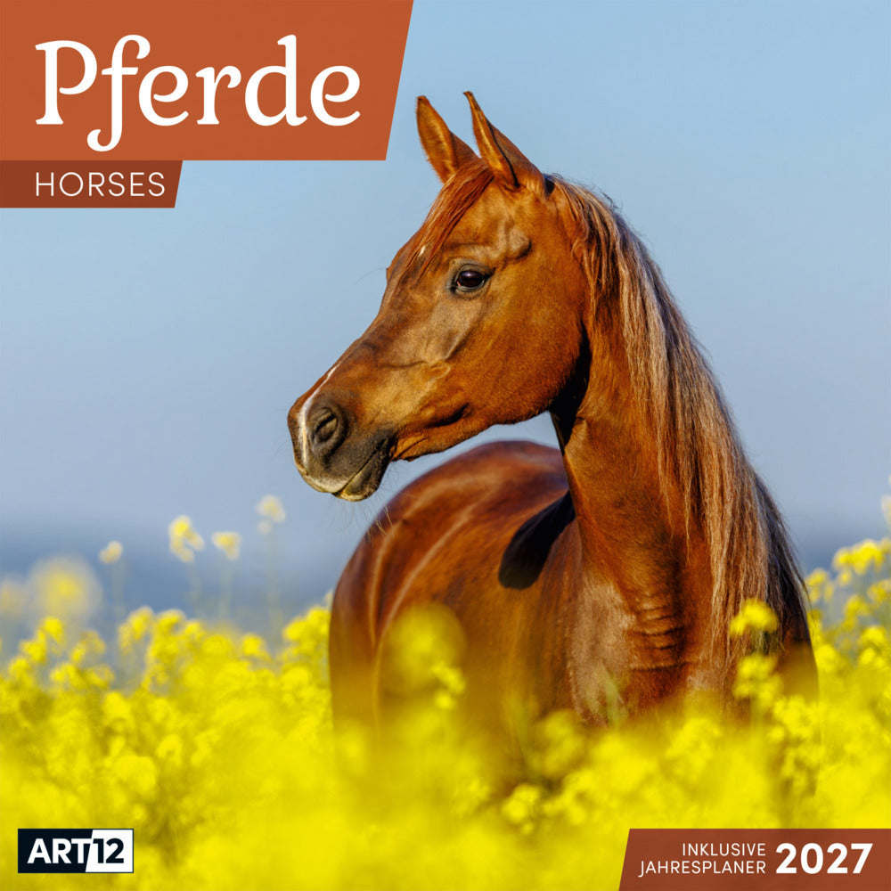 Pferde Kalender 2027 - 30x30 - Art12 (Ackermann Kunstverlag Gmbh)