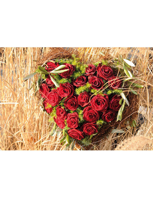 DK Blanco Foto Rosenherz