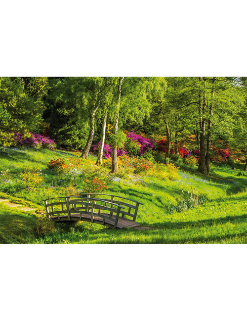 DK Blanco Foto Park/Brücke