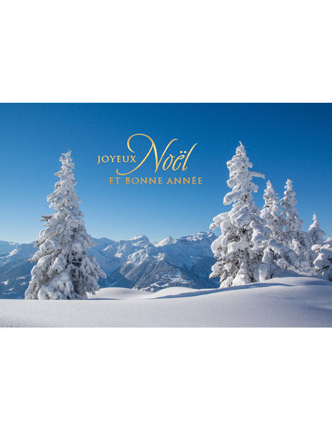 Carte double Noël 98-4480
