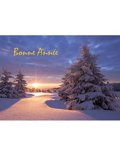 Cartes double pack A pack. Bonne Année 94-657-A6 5 Ex.