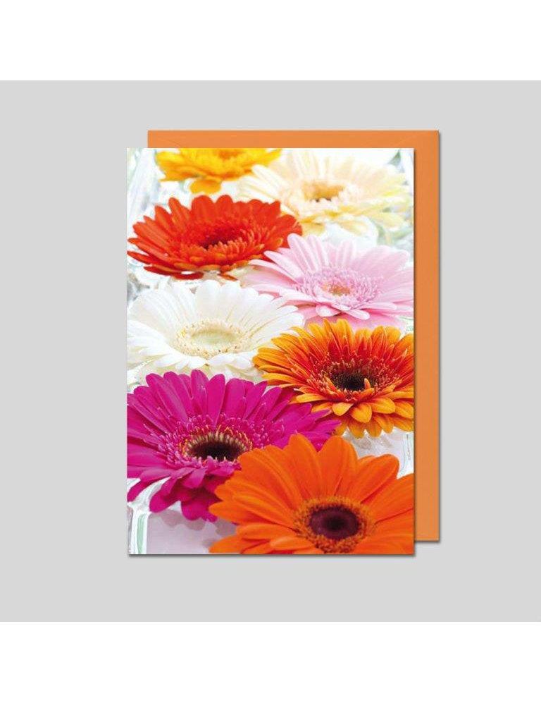 Doppelkarte. Fotokarte Blumen / blanko