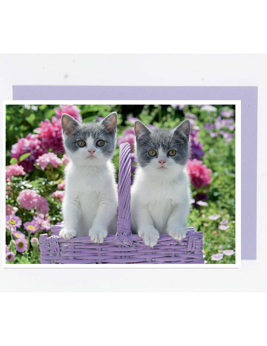 Doppelkarte. Fotokarte Kätzchen im Korb / blanko