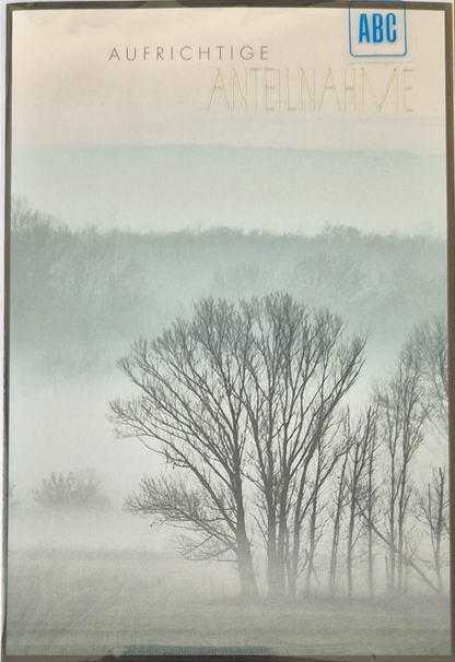 Aufrichtige Anteilnahme (B6)