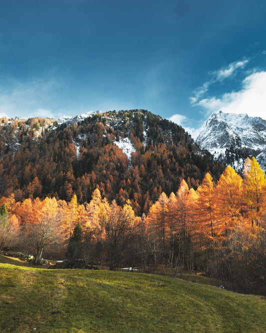 Elsita Jewelry Herbst necklace inspired by autumn mountain landscapes with red and brown agate and sardonyx stones.