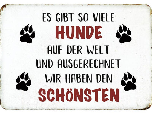 Blechschild "Es gibt so viele Hunde"
