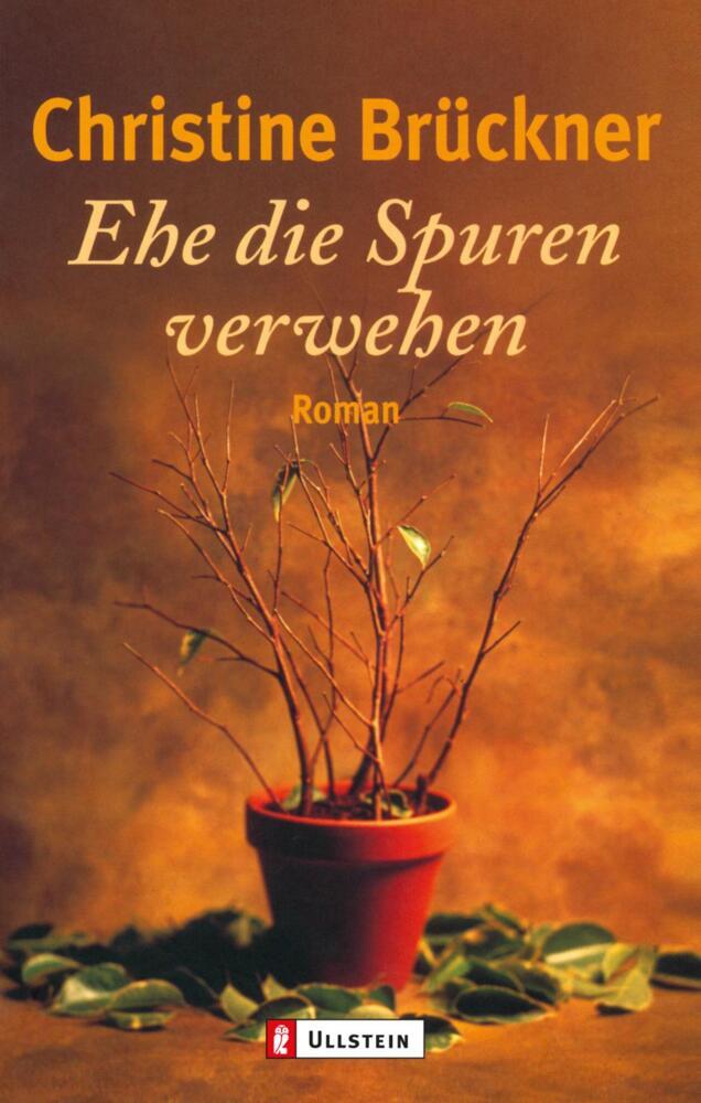 Ehe die Spuren verwehen (Christine Brückner)