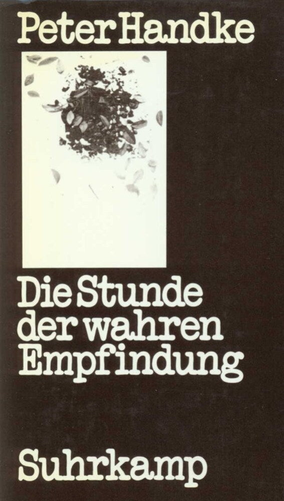 Die Stunde der wahren Empfindung (Peter Handke)