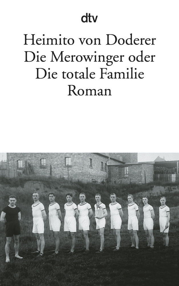 Die Merowinger oder Die totale Familie (Heimito Von Doderer)