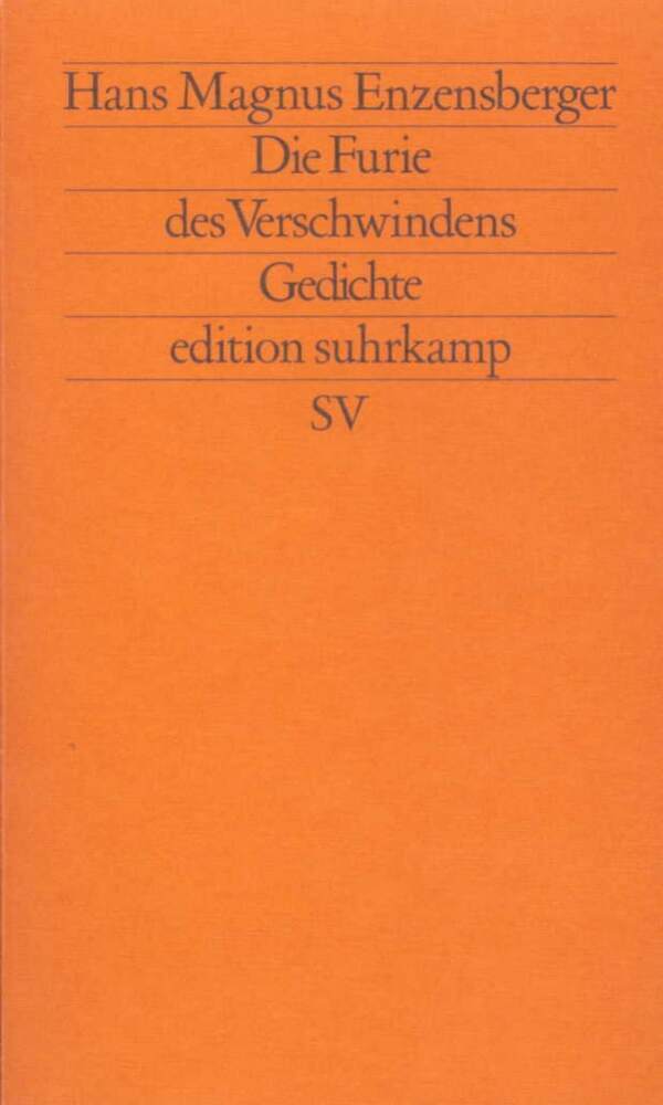 Die Furie des Verschwindens (Hans Magnus Enzensberger)