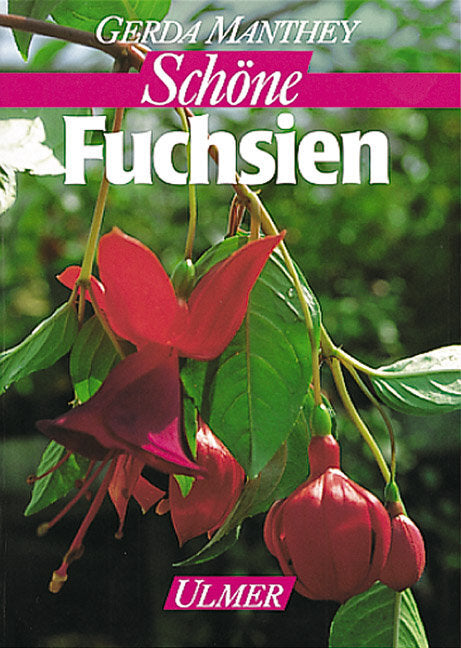 Fuchsien (Gerda Manthey)